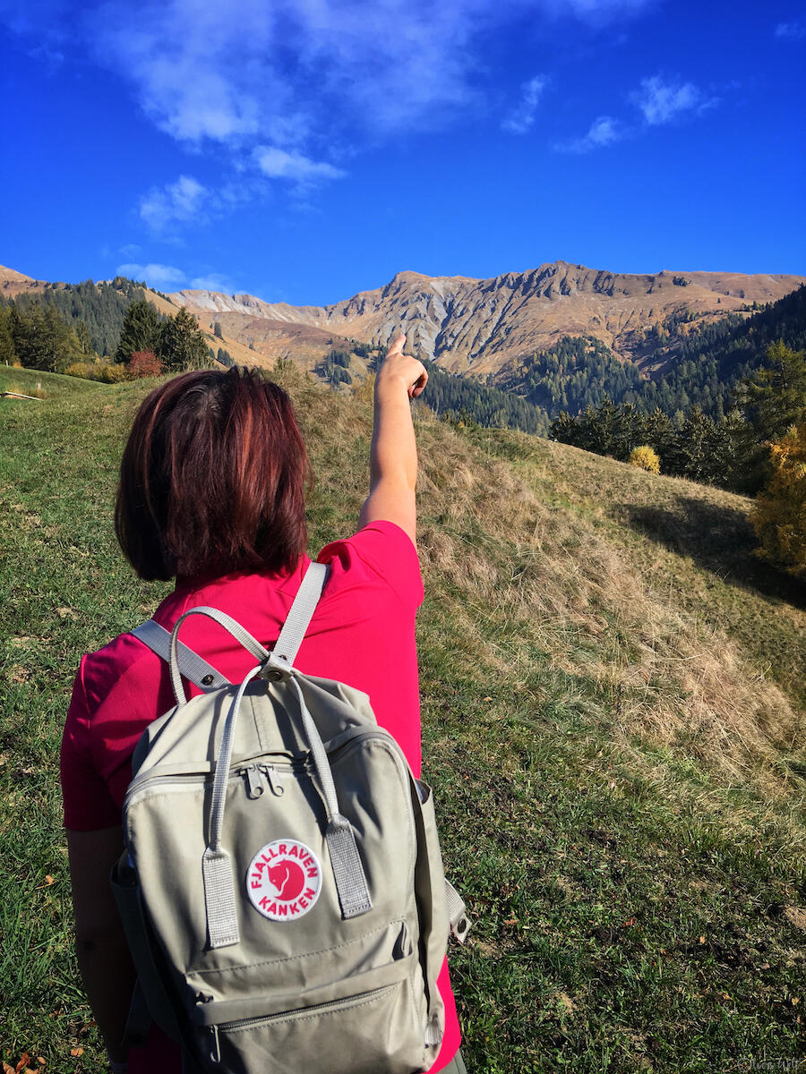 Bild ohne Beschreibung Bild ohne Beschreibung