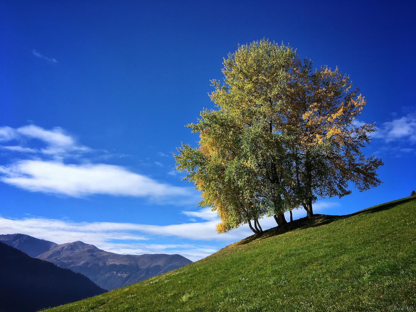 Bild ohne Beschreibung Bild ohne Beschreibung