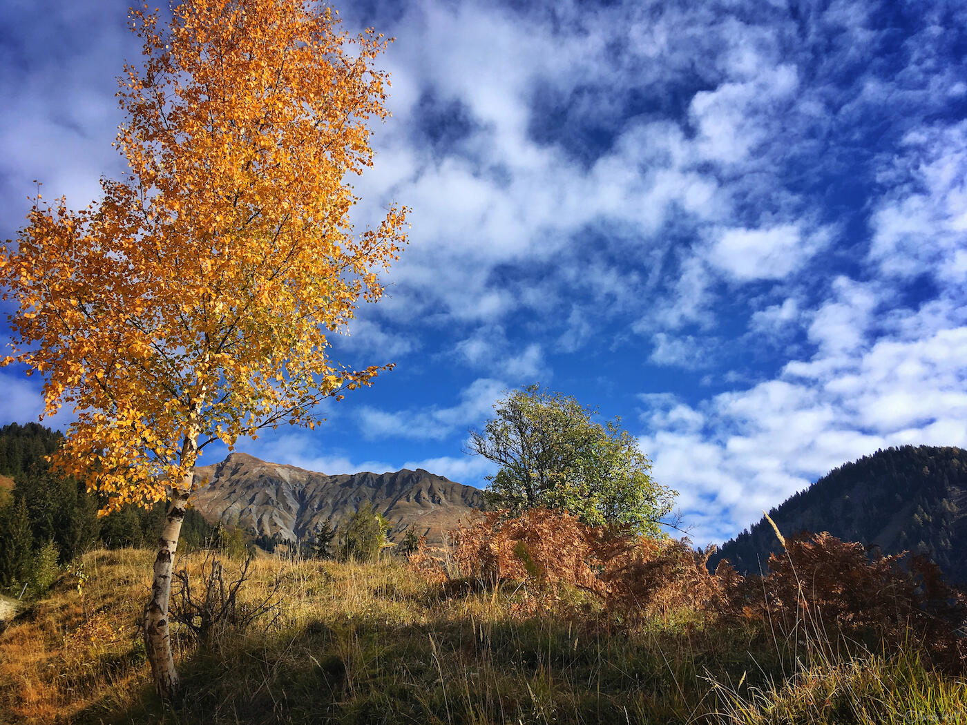 Bild ohne Beschreibung Bild ohne Beschreibung