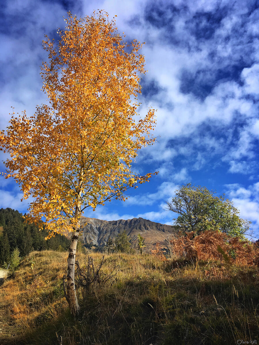 Bild ohne Beschreibung Bild ohne Beschreibung