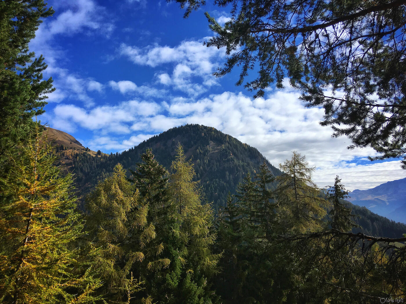 Bild ohne Beschreibung Bild ohne Beschreibung