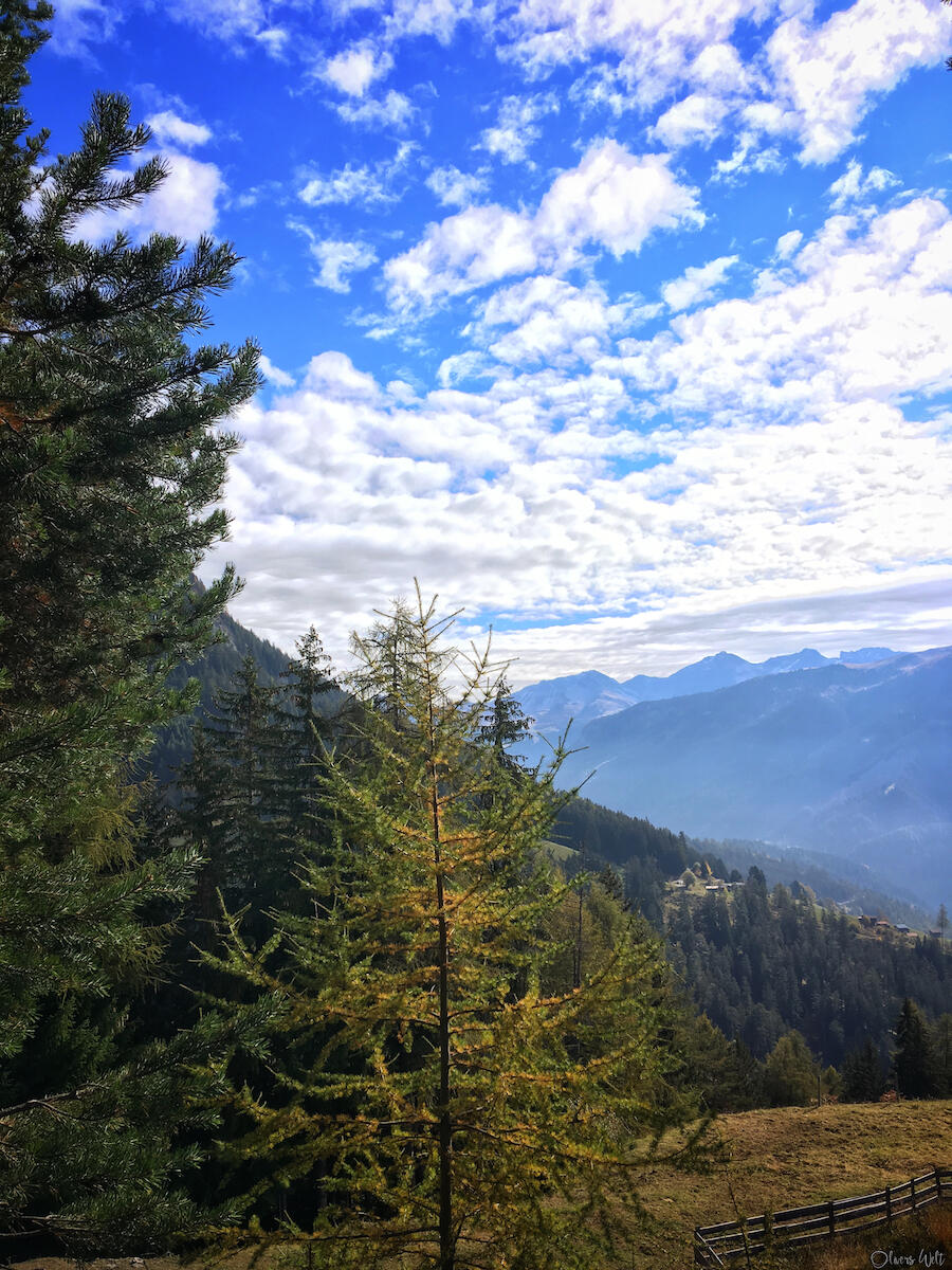 Bild ohne Beschreibung Bild ohne Beschreibung