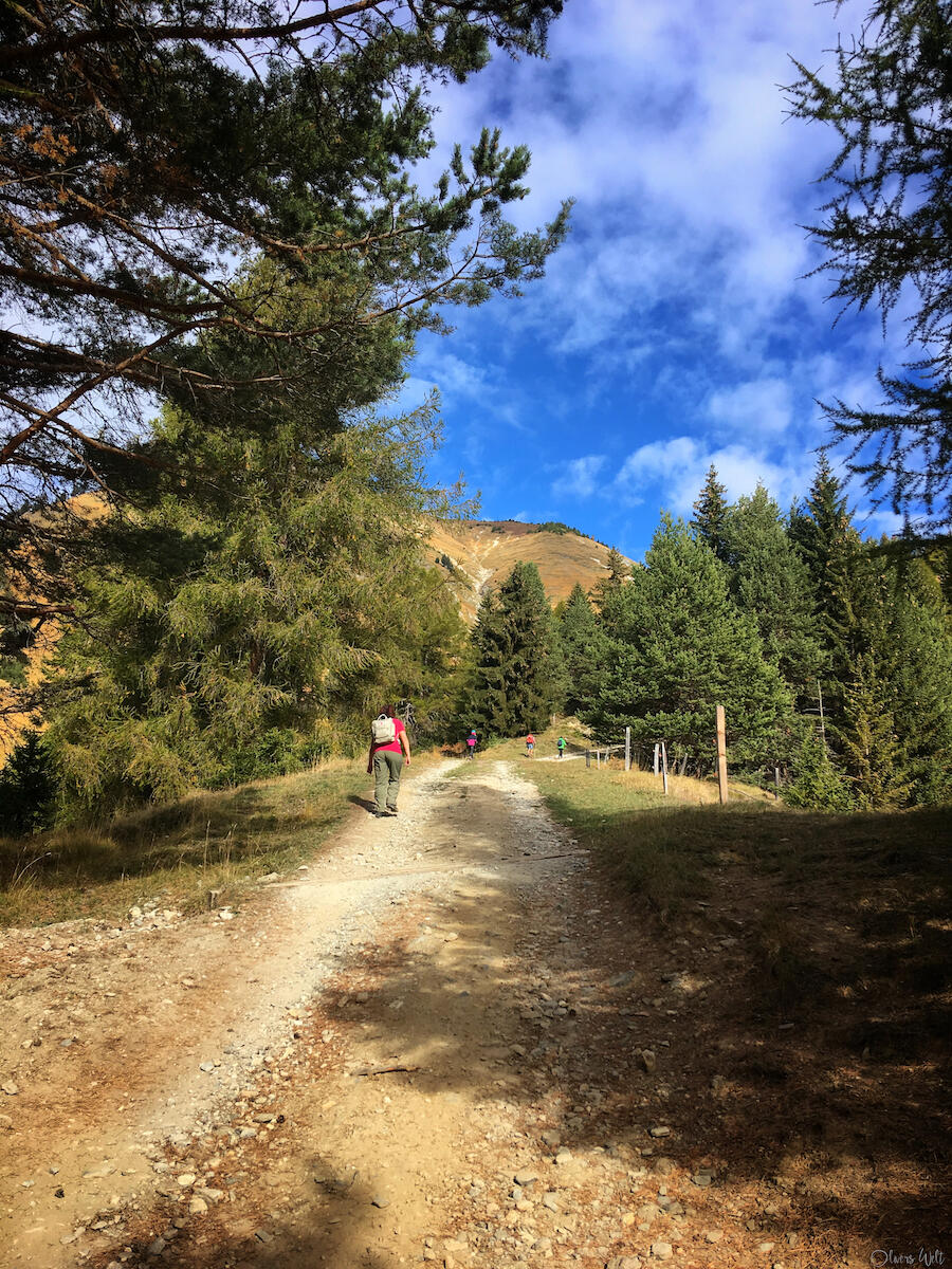 Bild ohne Beschreibung Bild ohne Beschreibung