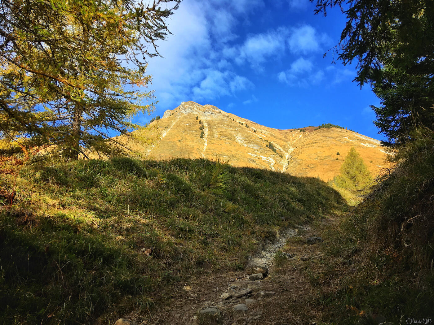 Bild ohne Beschreibung Bild ohne Beschreibung