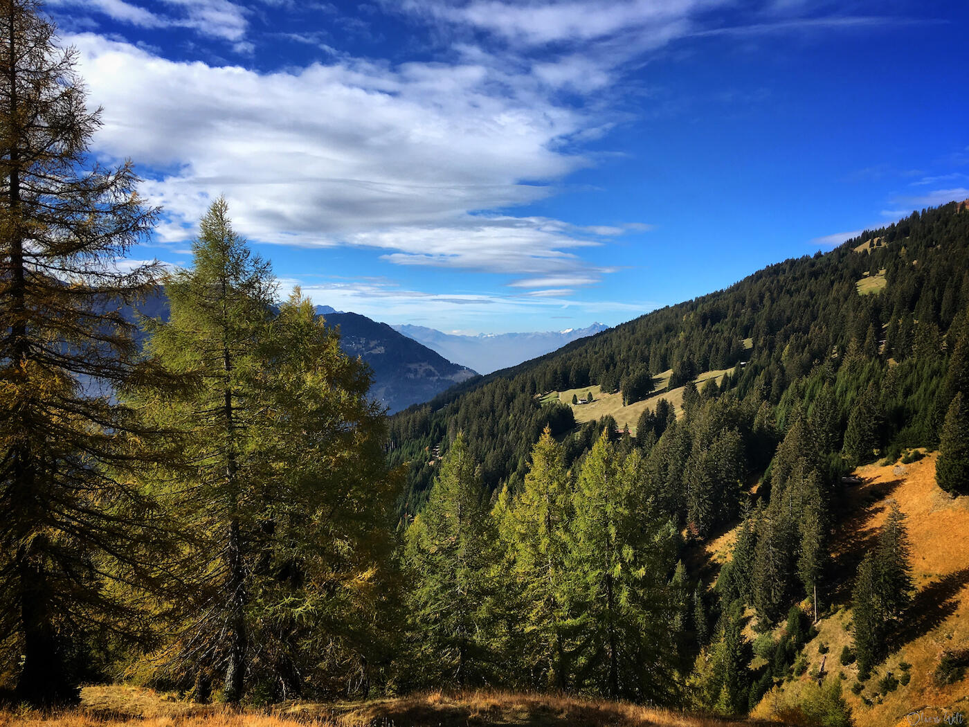 Bild ohne Beschreibung Bild ohne Beschreibung