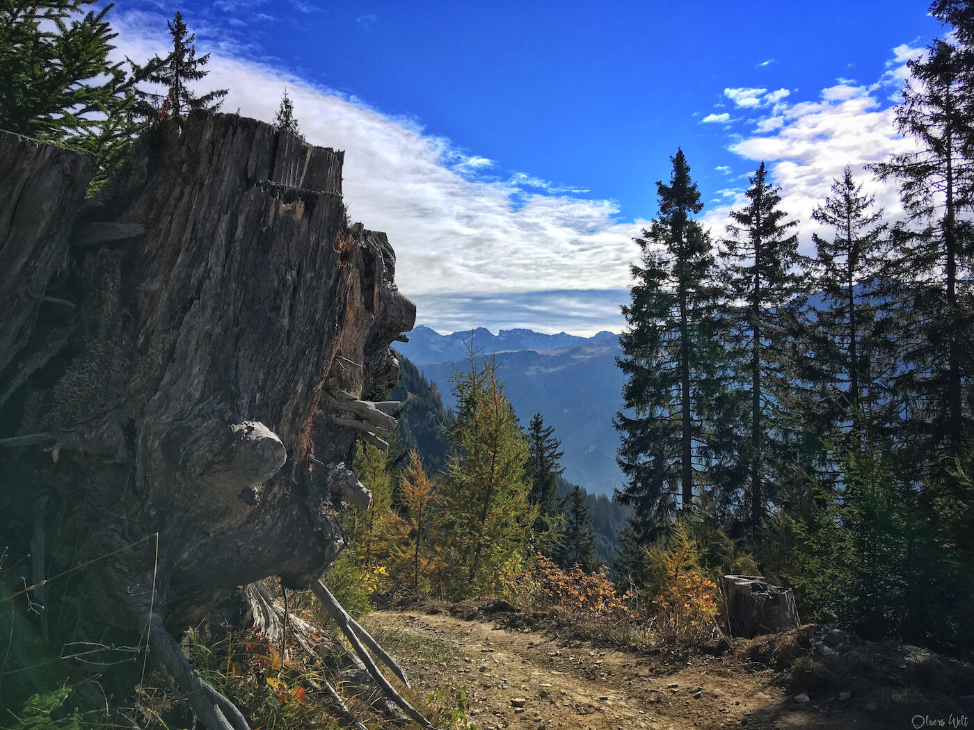 Bild ohne Beschreibung Bild ohne Beschreibung