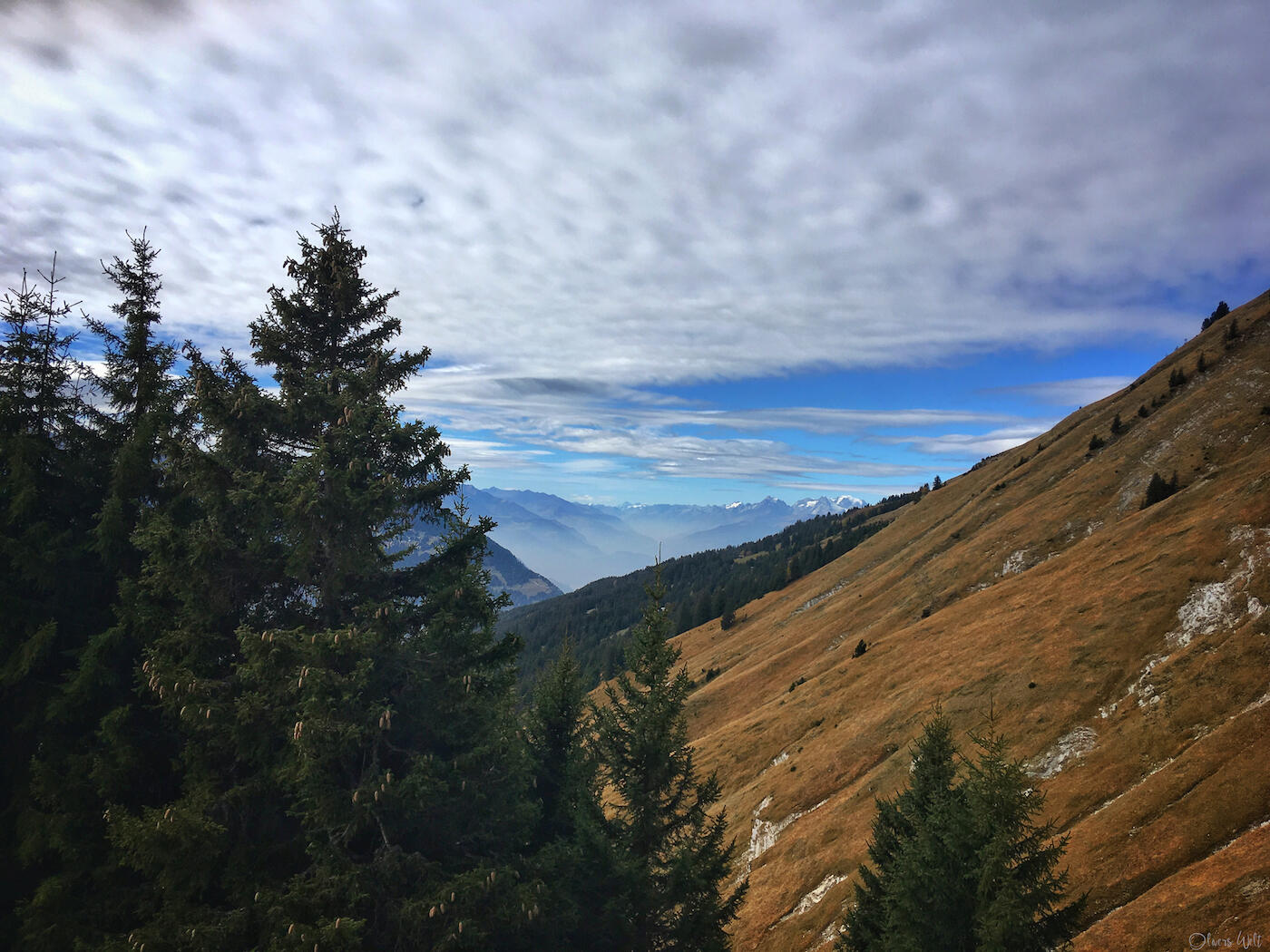 Bild ohne Beschreibung Bild ohne Beschreibung