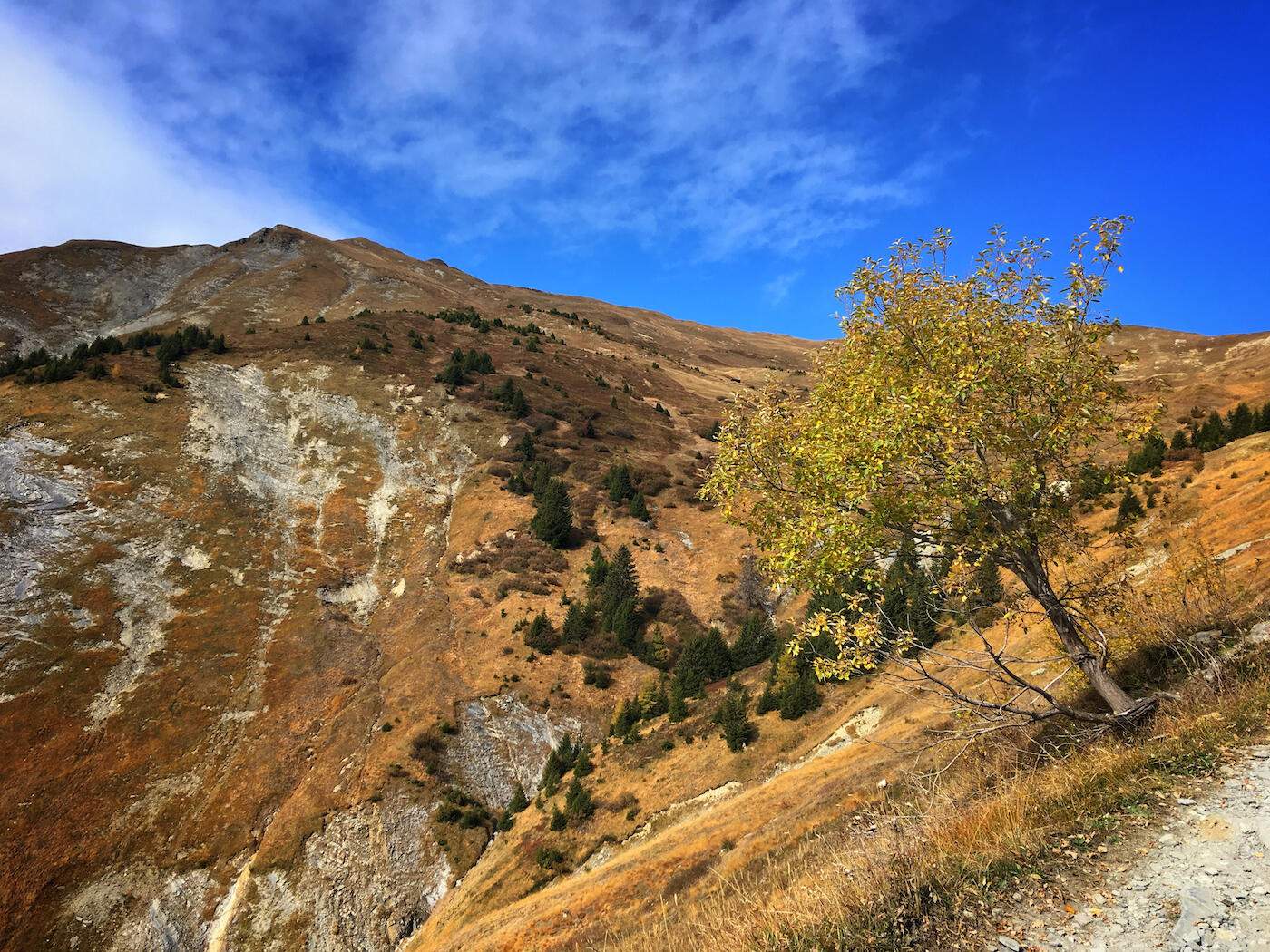 Bild ohne Beschreibung Bild ohne Beschreibung