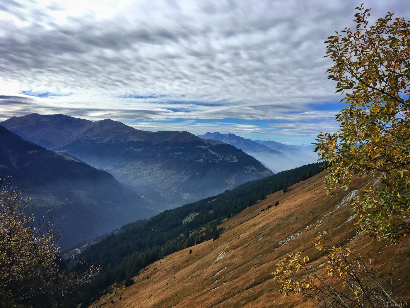 Bild ohne Beschreibung Bild ohne Beschreibung