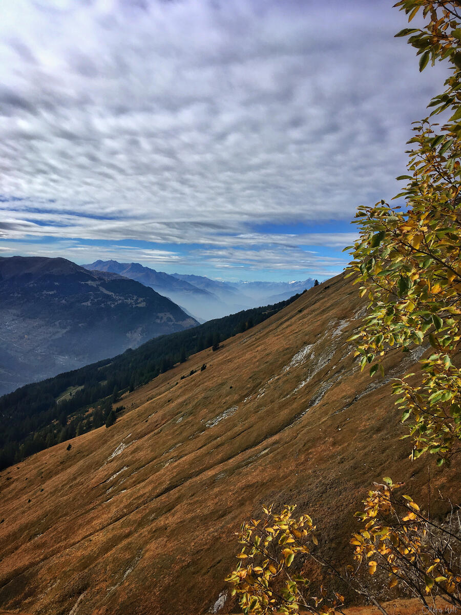 Bild ohne Beschreibung Bild ohne Beschreibung