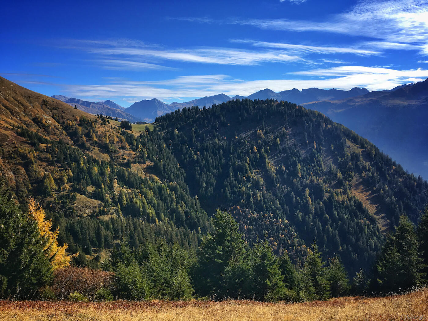 Bild ohne Beschreibung Bild ohne Beschreibung