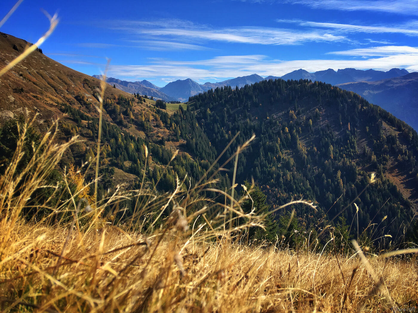 Bild ohne Beschreibung Bild ohne Beschreibung