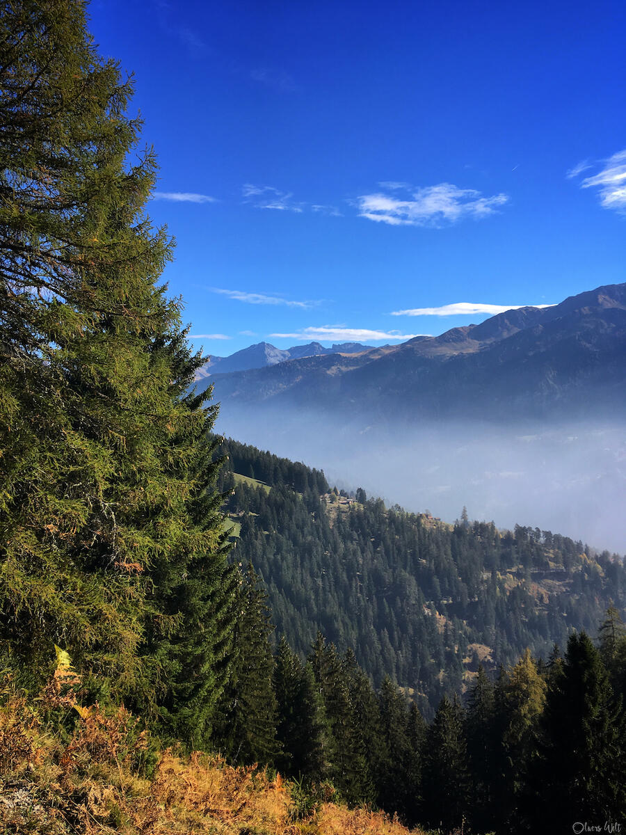 Bild ohne Beschreibung Bild ohne Beschreibung