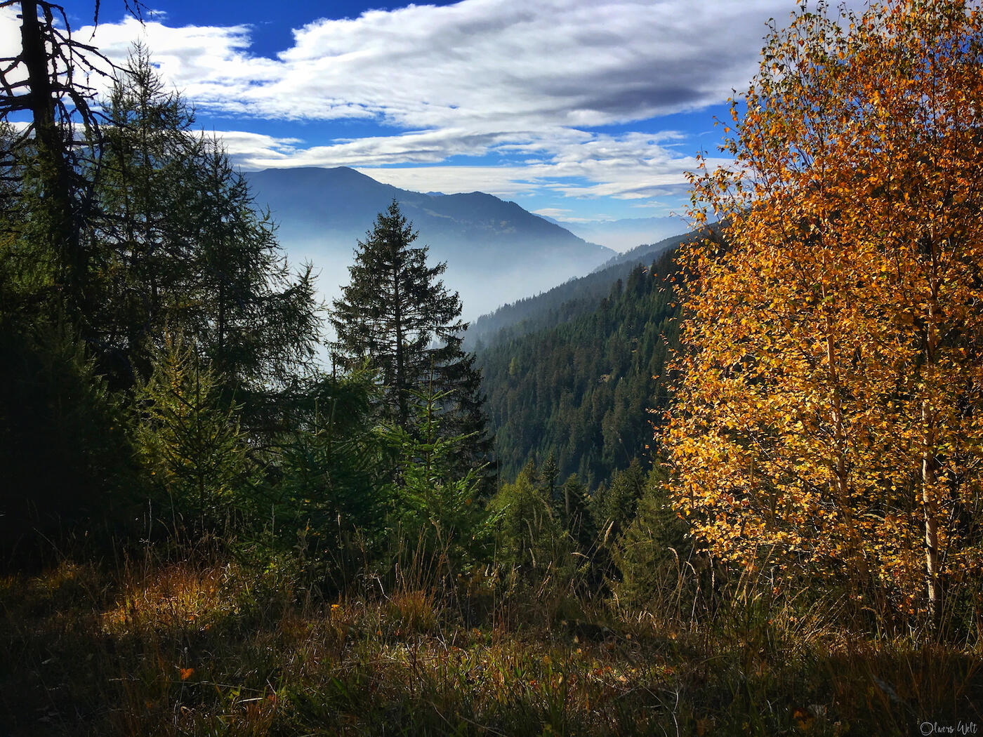 Bild ohne Beschreibung Bild ohne Beschreibung