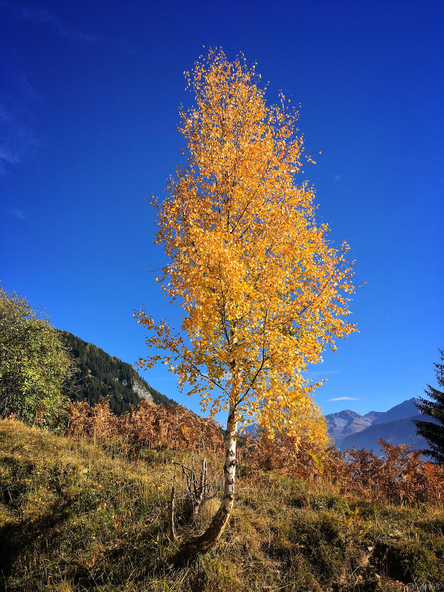 Bild ohne Beschreibung Bild ohne Beschreibung