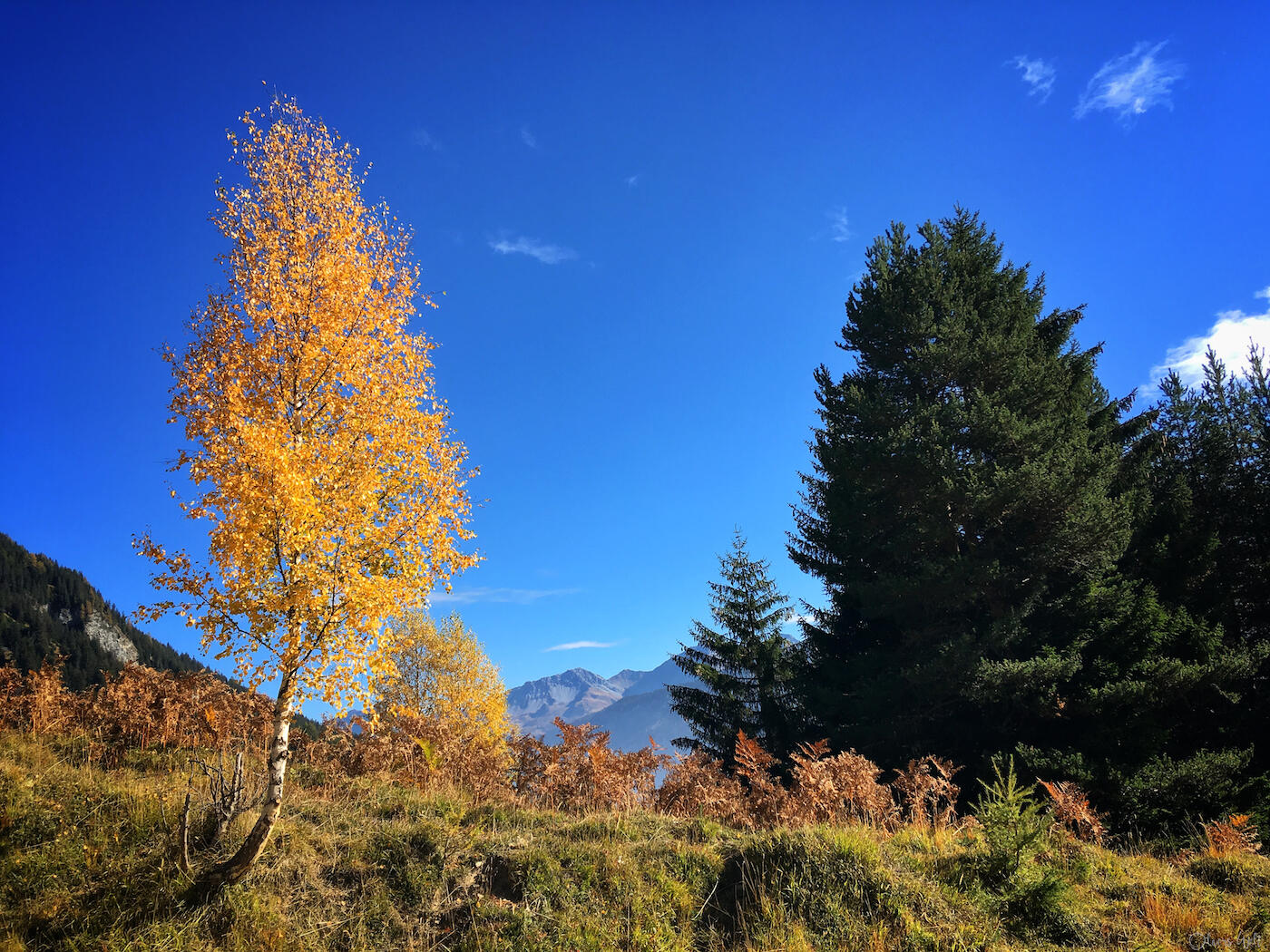 Bild ohne Beschreibung Bild ohne Beschreibung