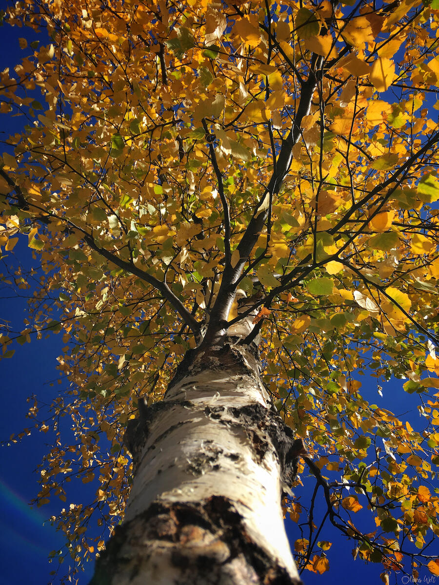 Bild ohne Beschreibung Bild ohne Beschreibung