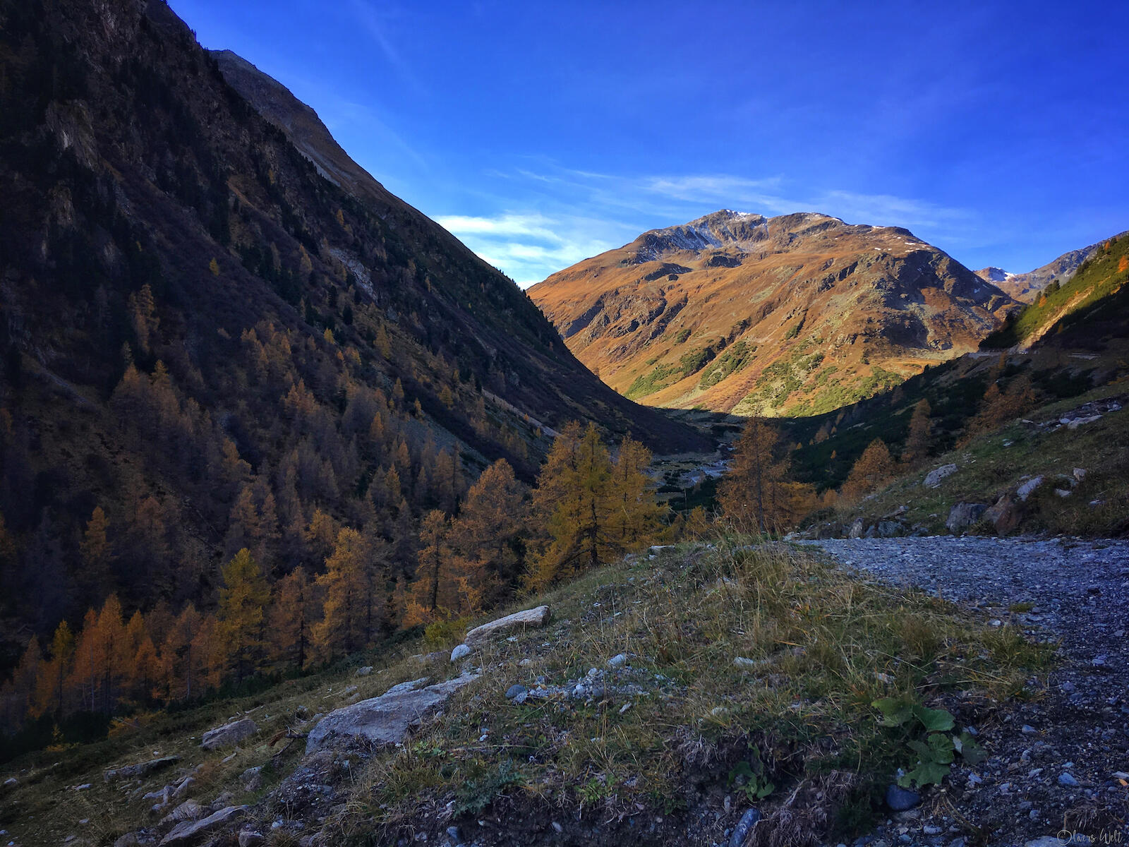 Bild ohne Beschreibung