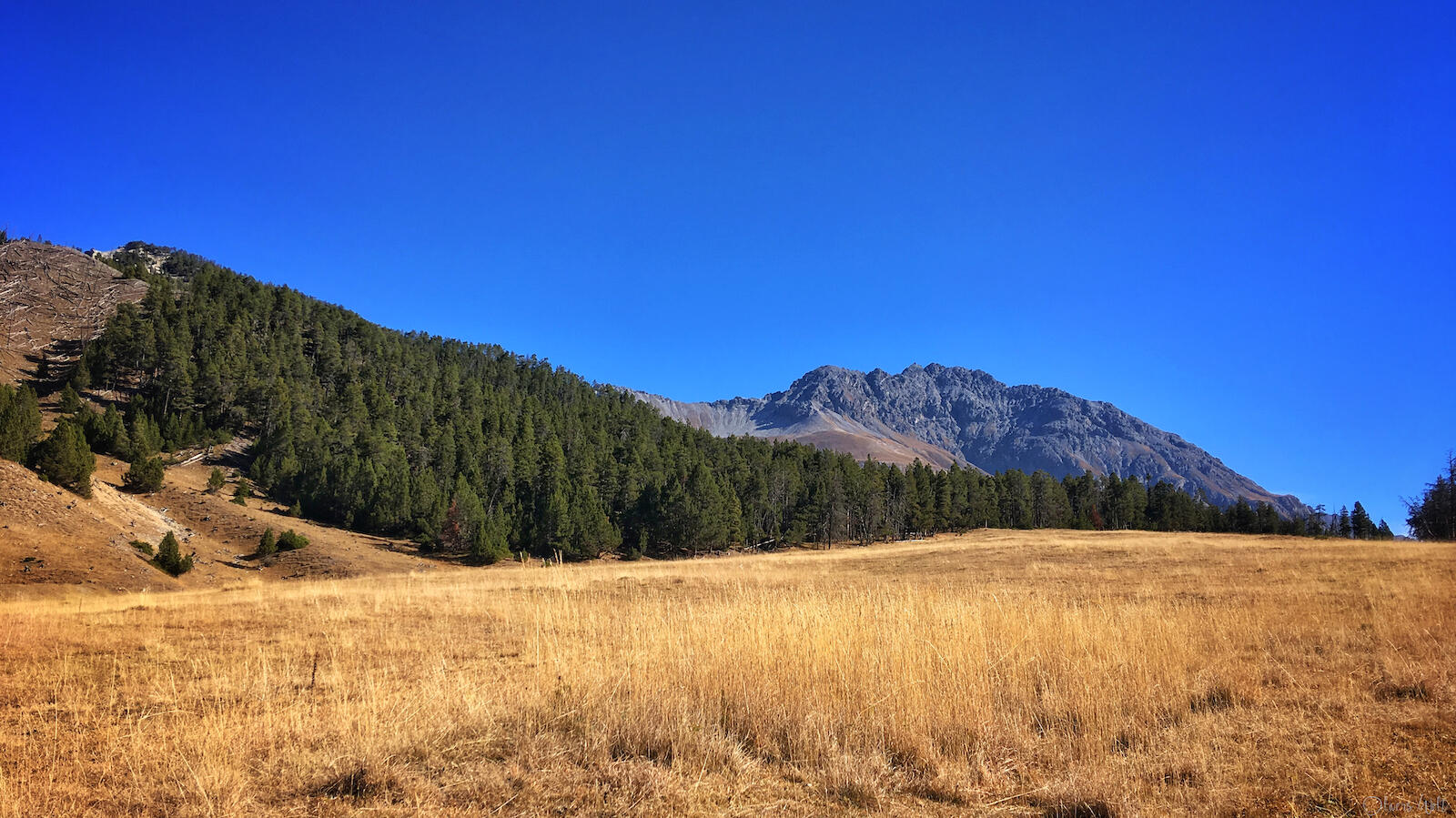 Bild ohne Beschreibung