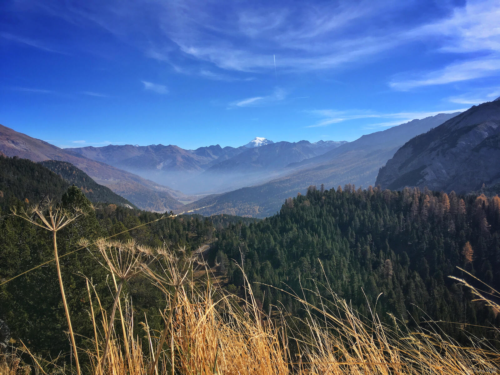 Bild ohne Beschreibung