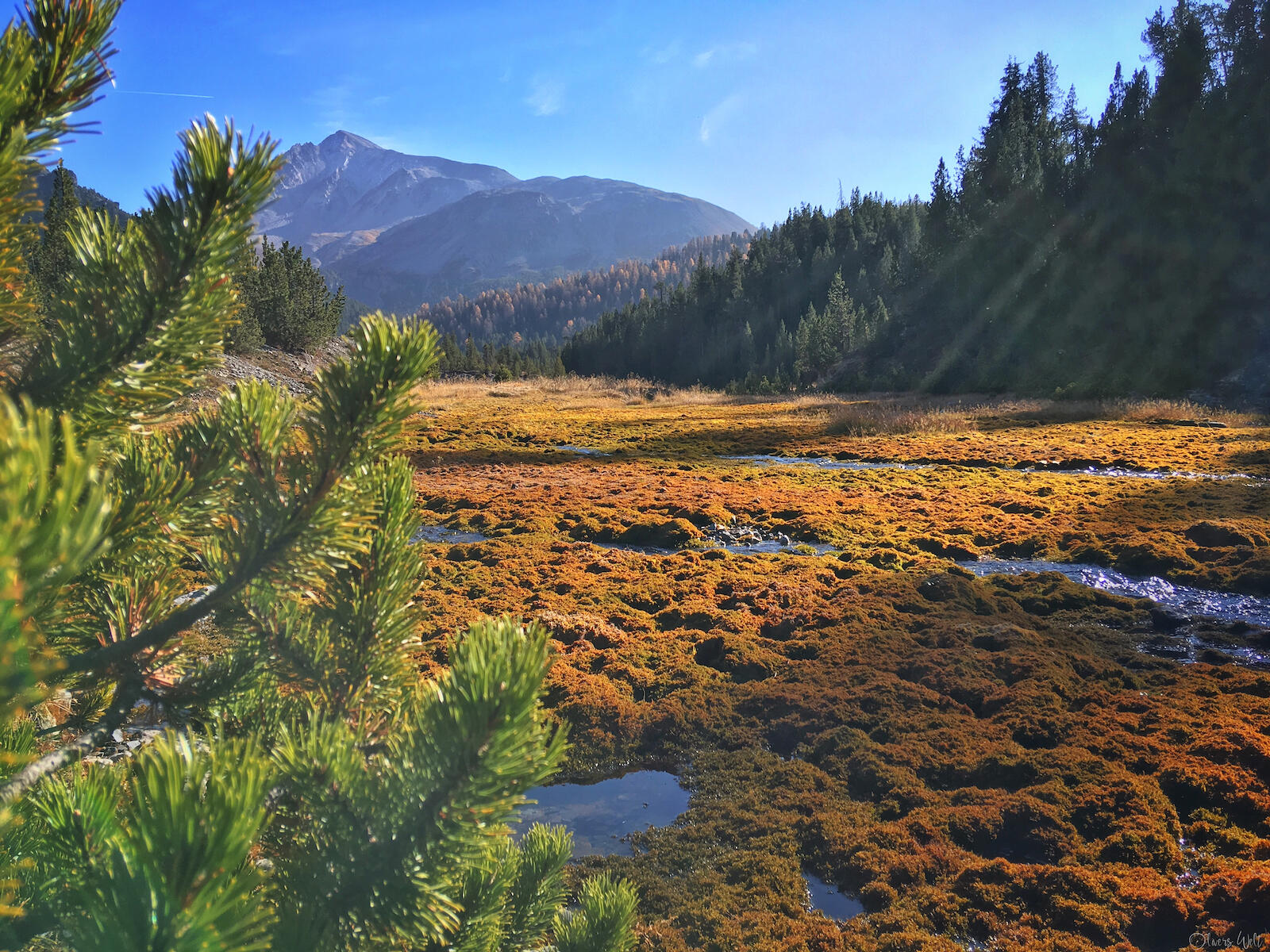 Bild ohne Beschreibung