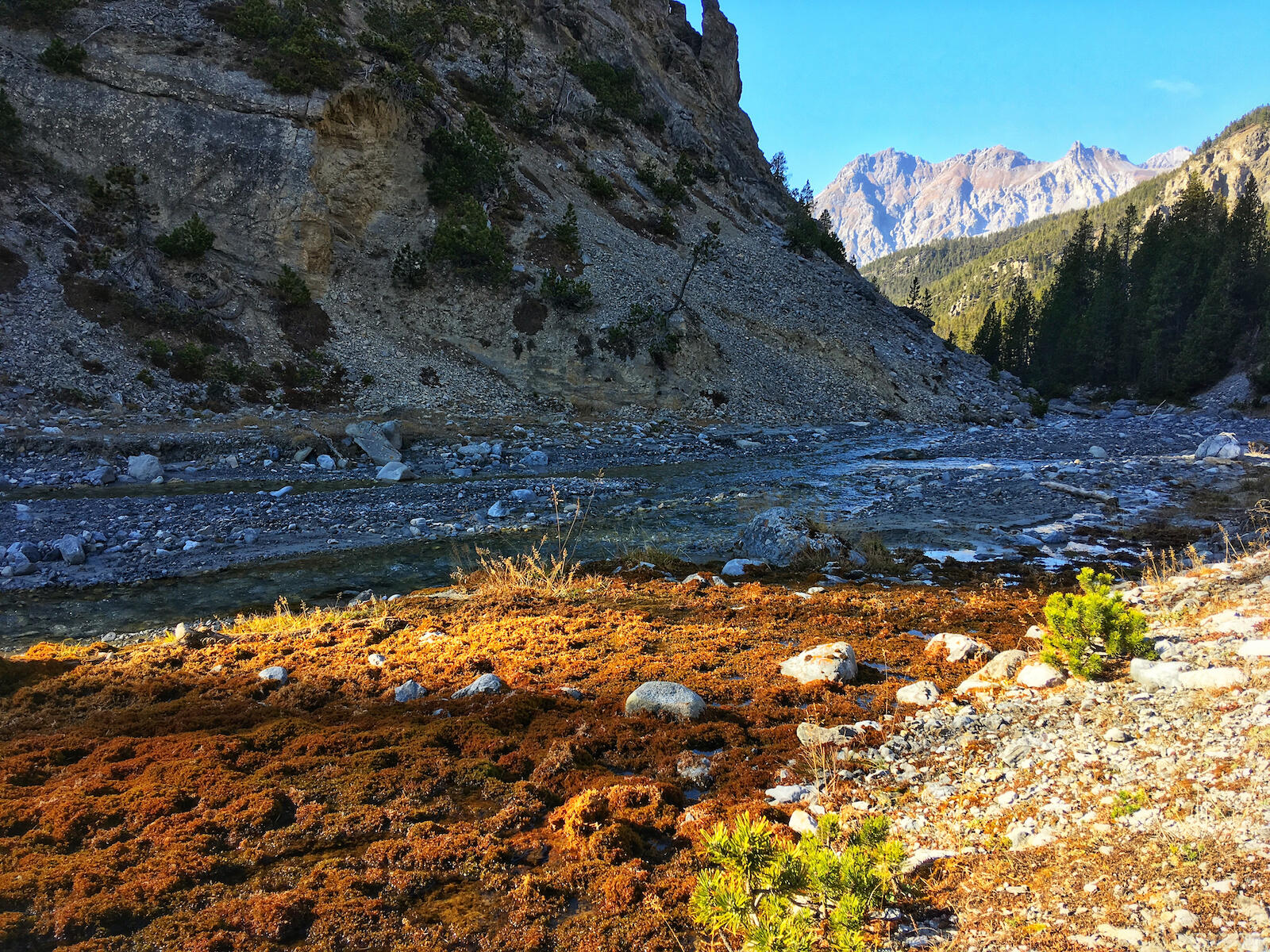 Bild ohne Beschreibung
