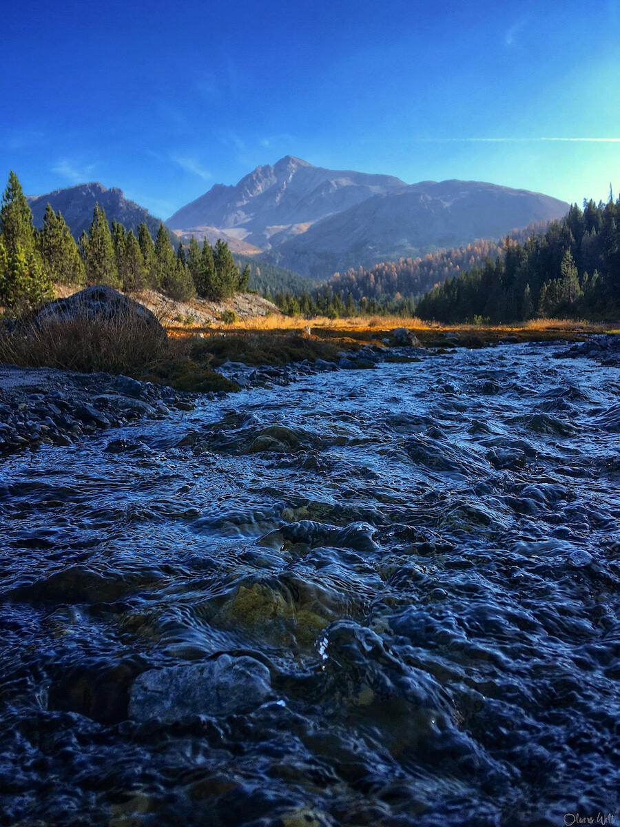 Bild ohne Beschreibung