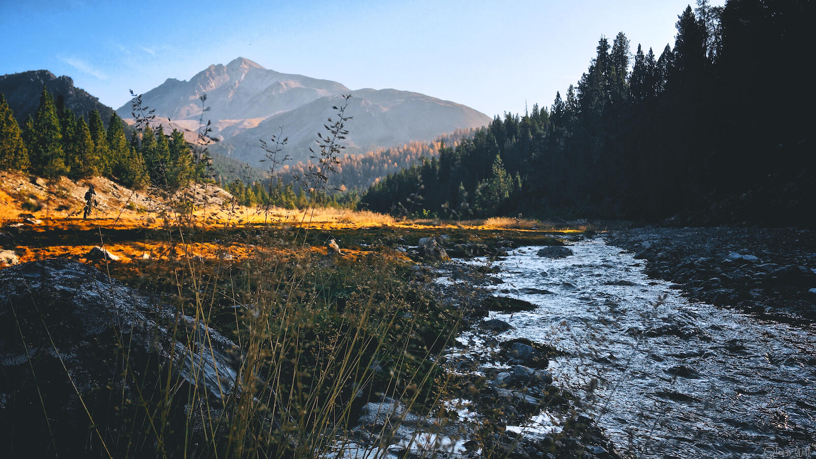 Bild ohne Beschreibung