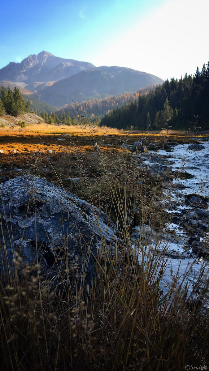 Bild ohne Beschreibung