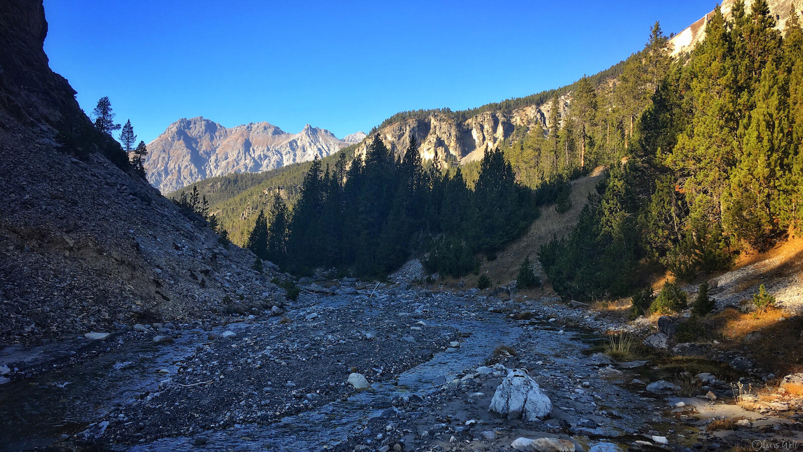 Bild ohne Beschreibung