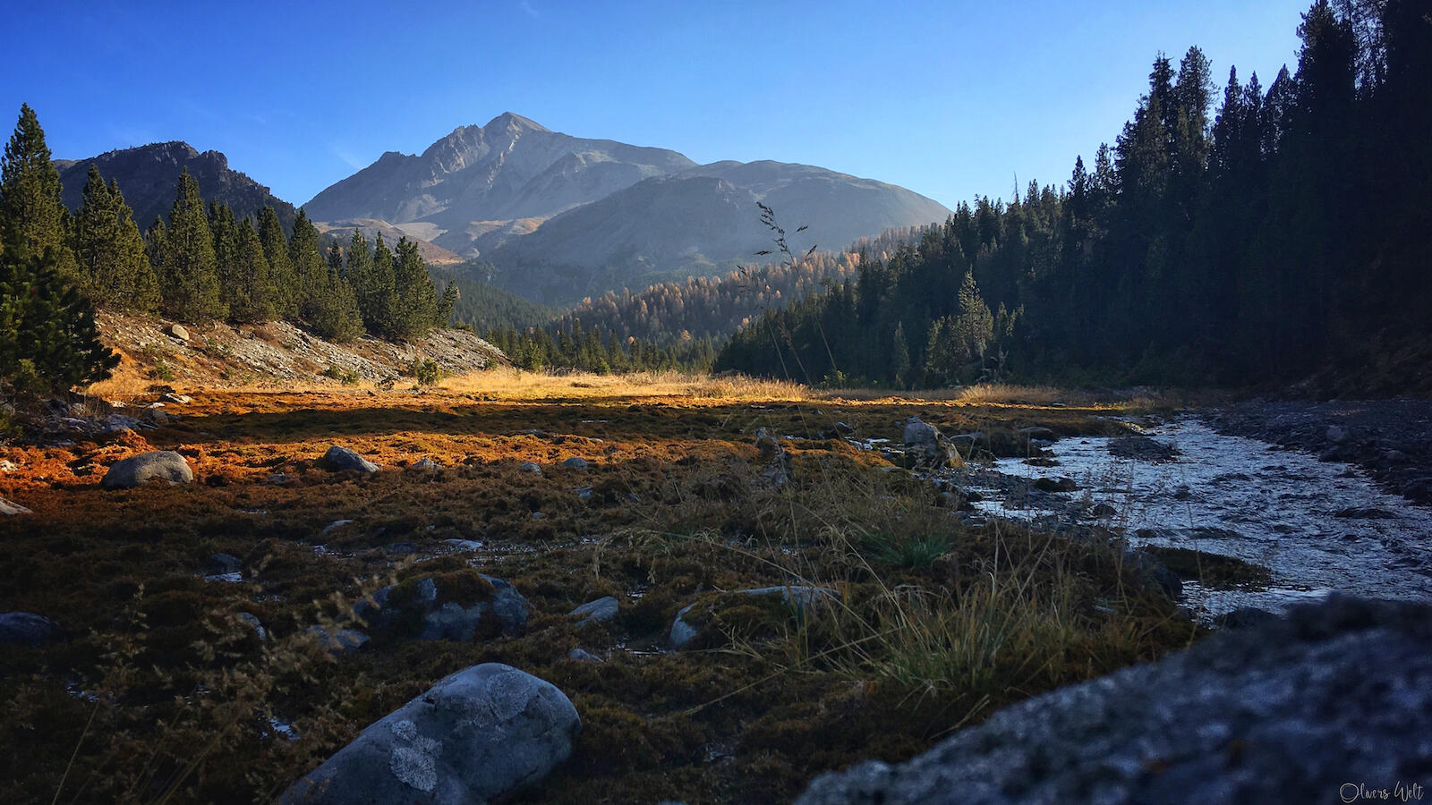 Bild ohne Beschreibung