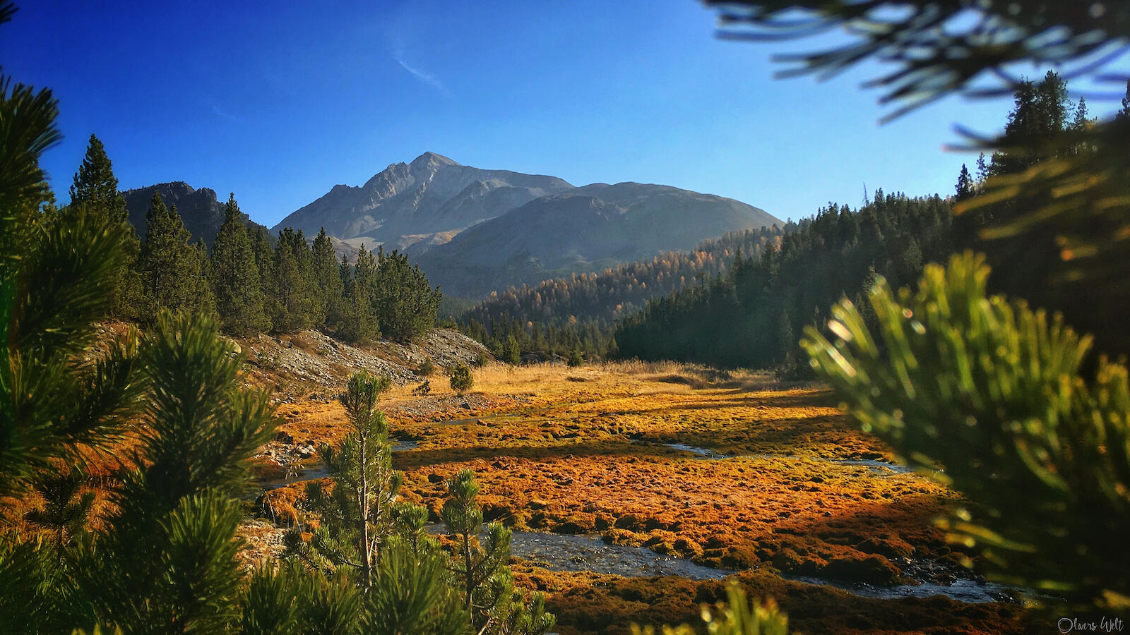 Bild ohne Beschreibung