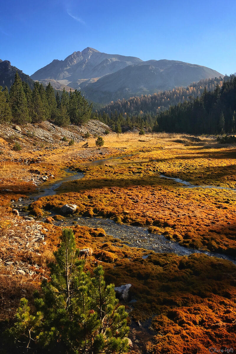 Bild ohne Beschreibung