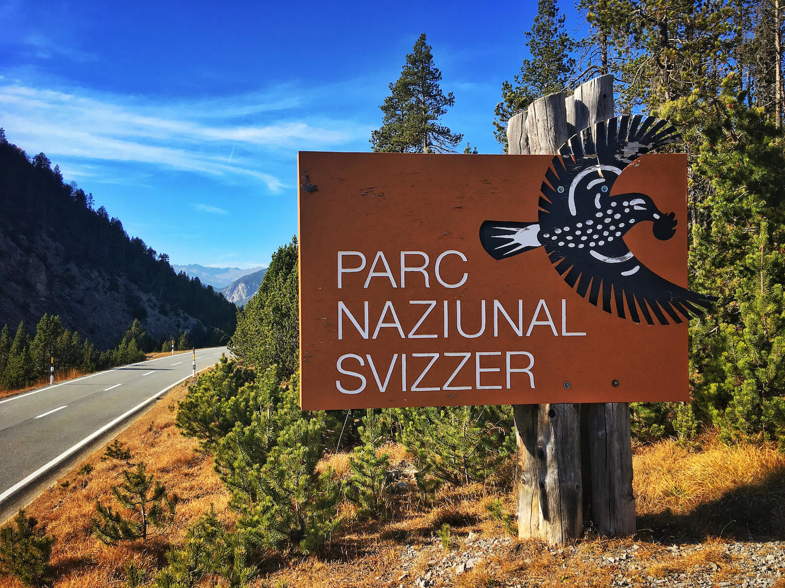 Bild ohne Beschreibung