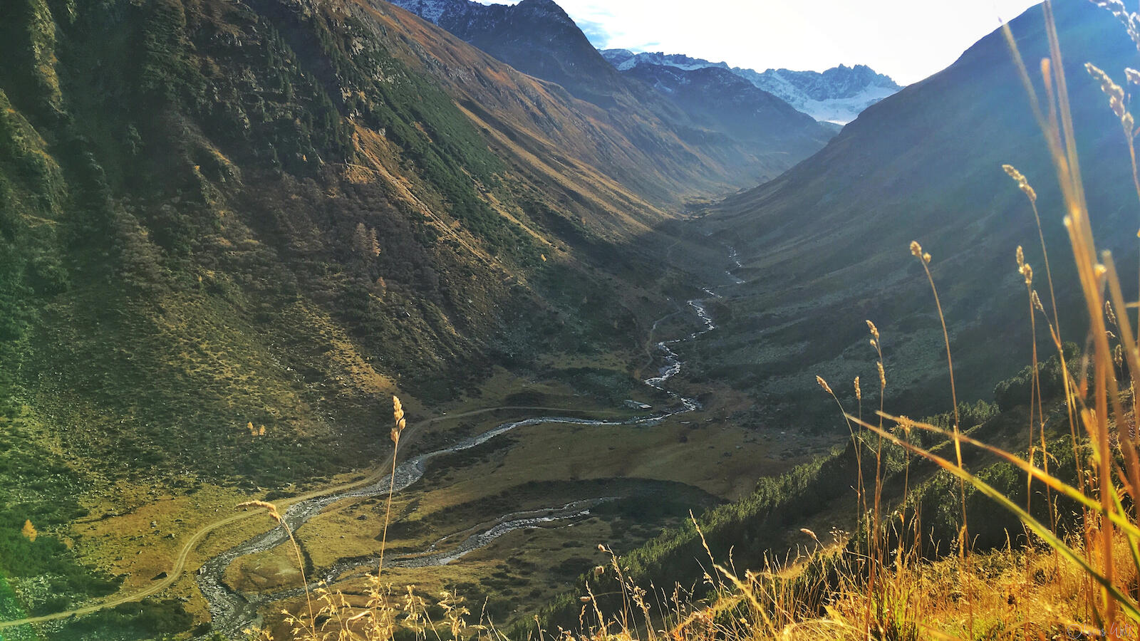 Bild ohne Beschreibung