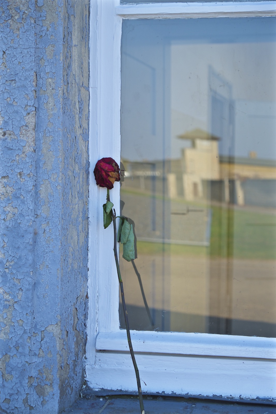 Bild ohne Beschreibung