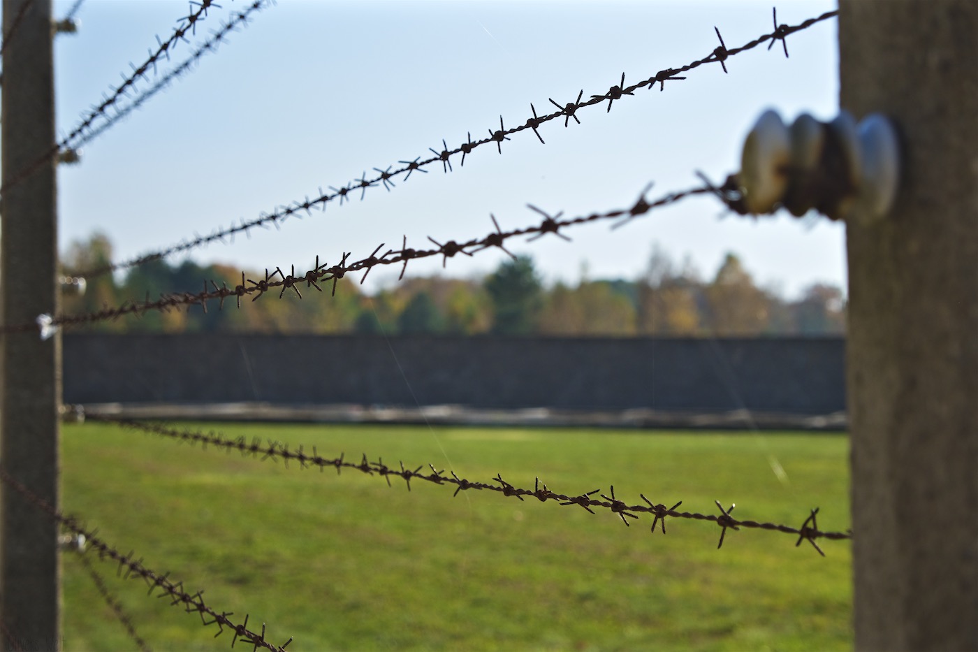 Bild ohne Beschreibung