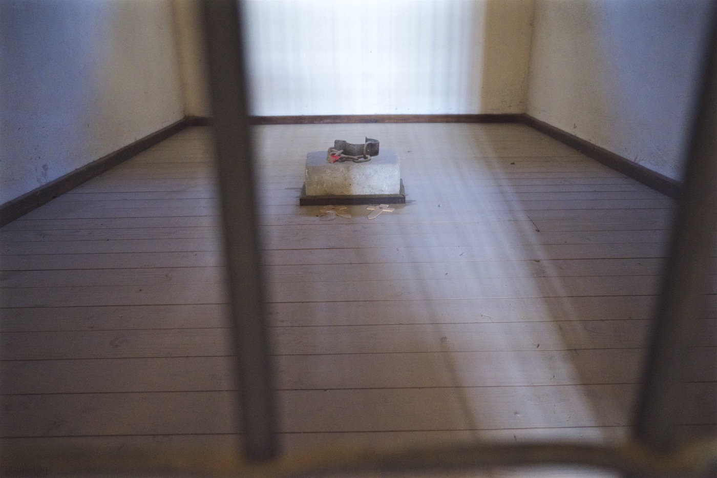 Bild ohne Beschreibung