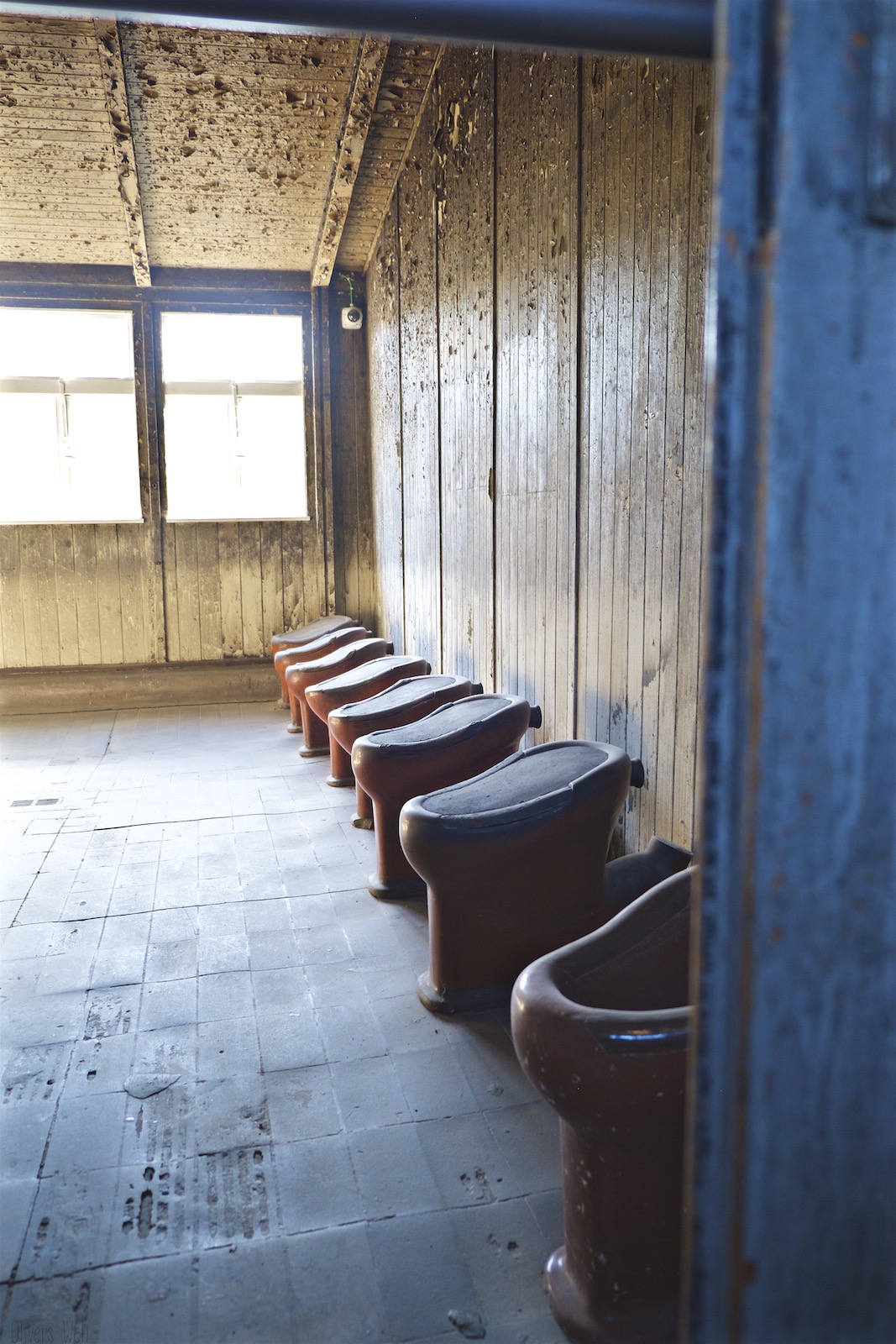 Bild ohne Beschreibung