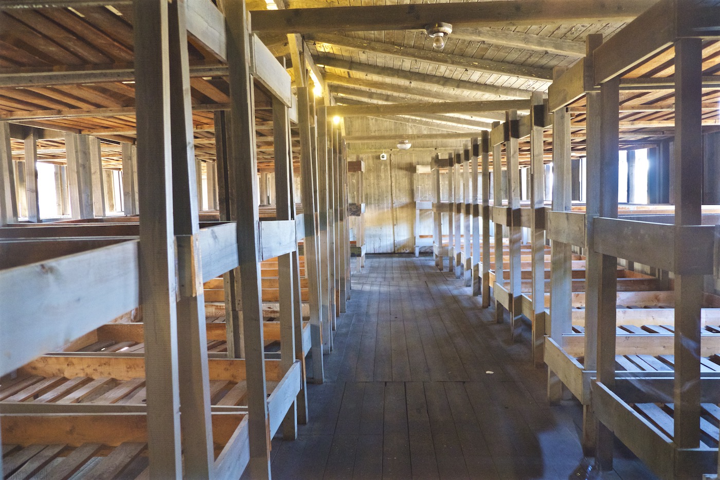 Bild ohne Beschreibung