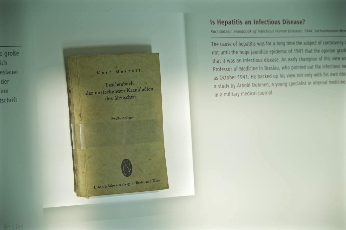 Bild ohne Beschreibung