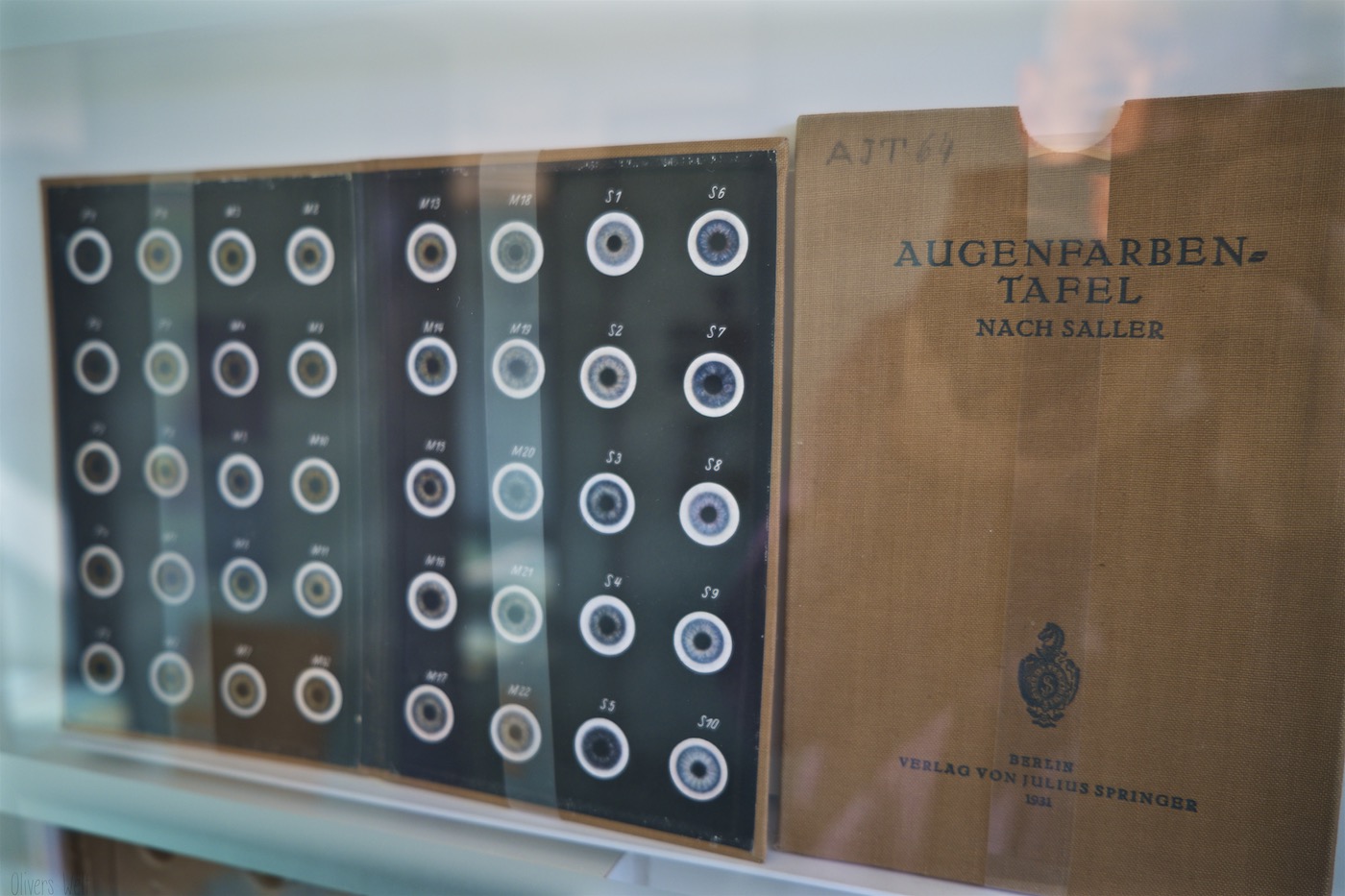 Bild ohne Beschreibung