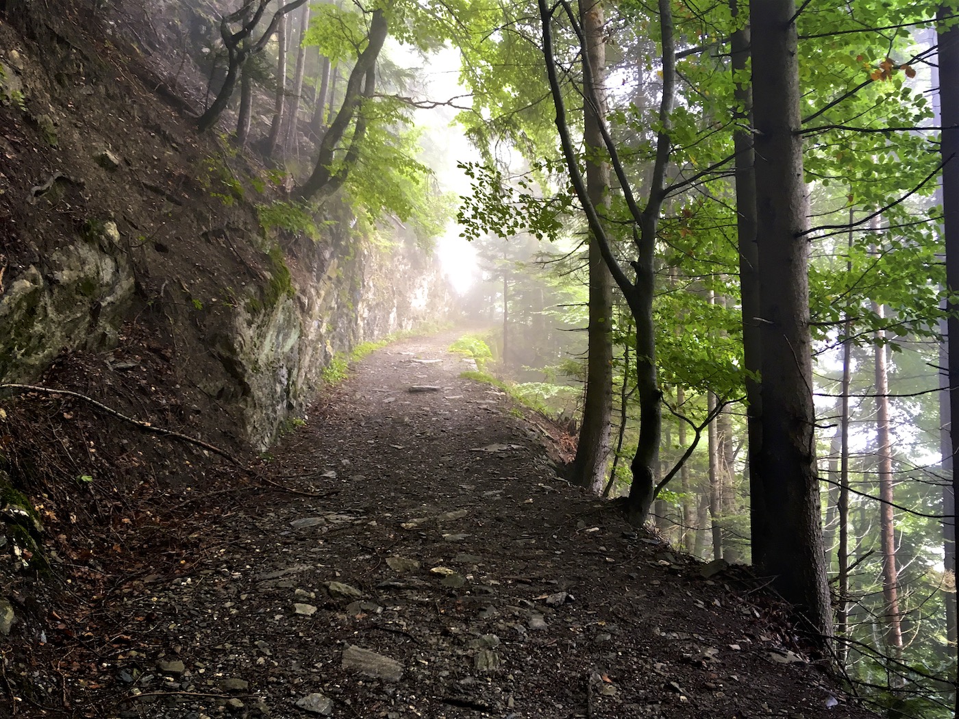 Bild ohne Beschreibung