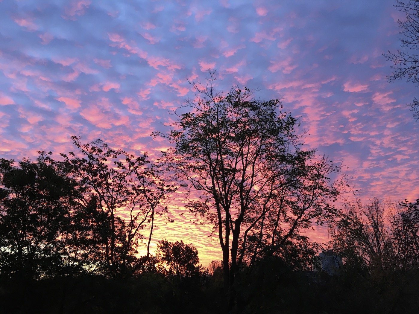 Bild ohne Beschreibung