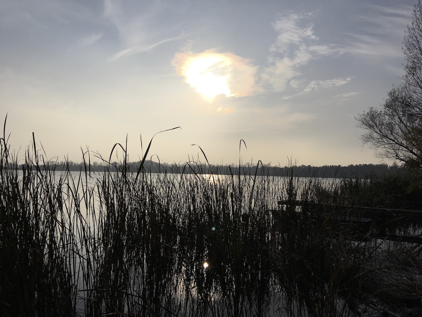 Bild ohne Beschreibung