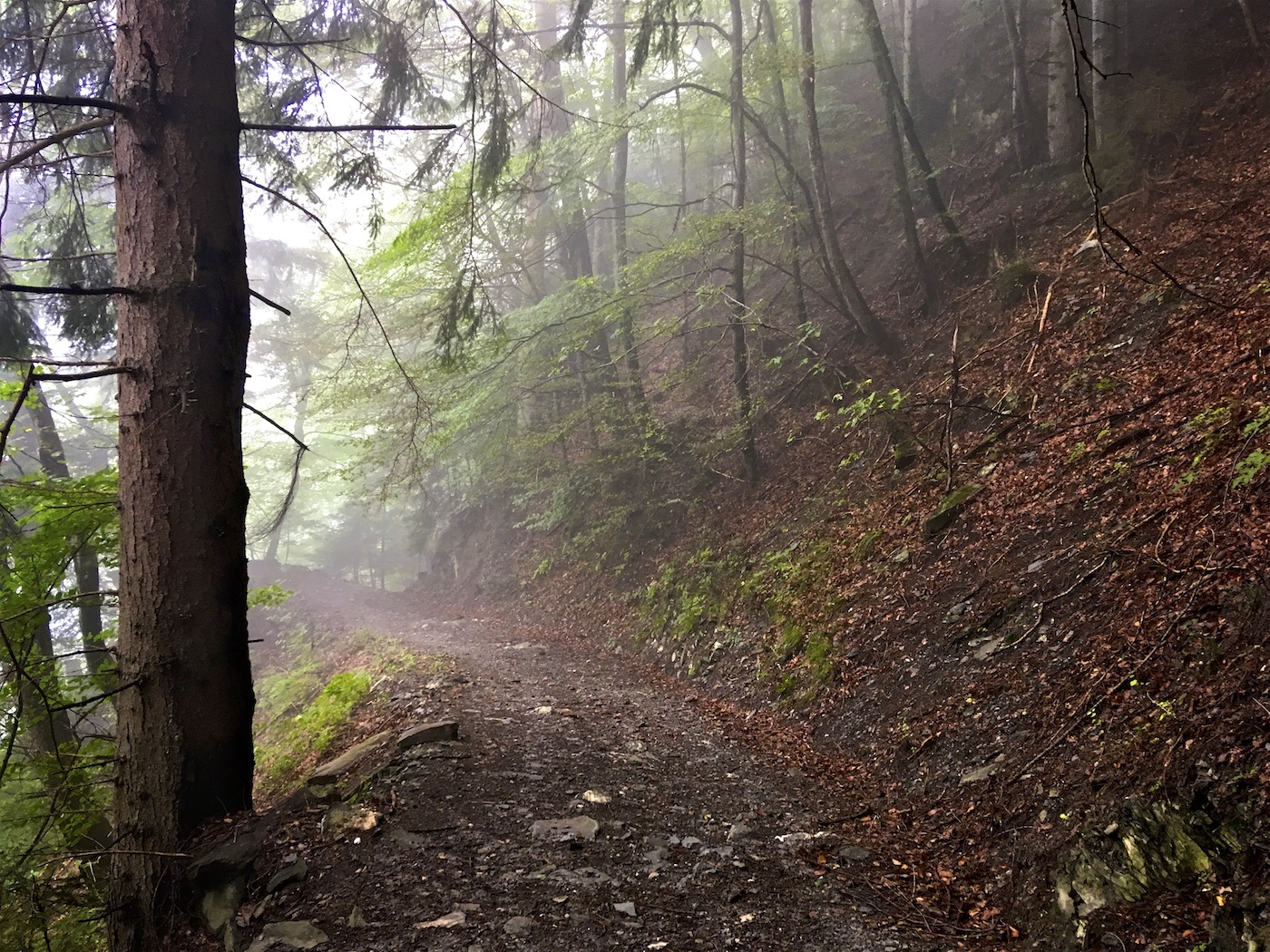 Bild ohne Beschreibung