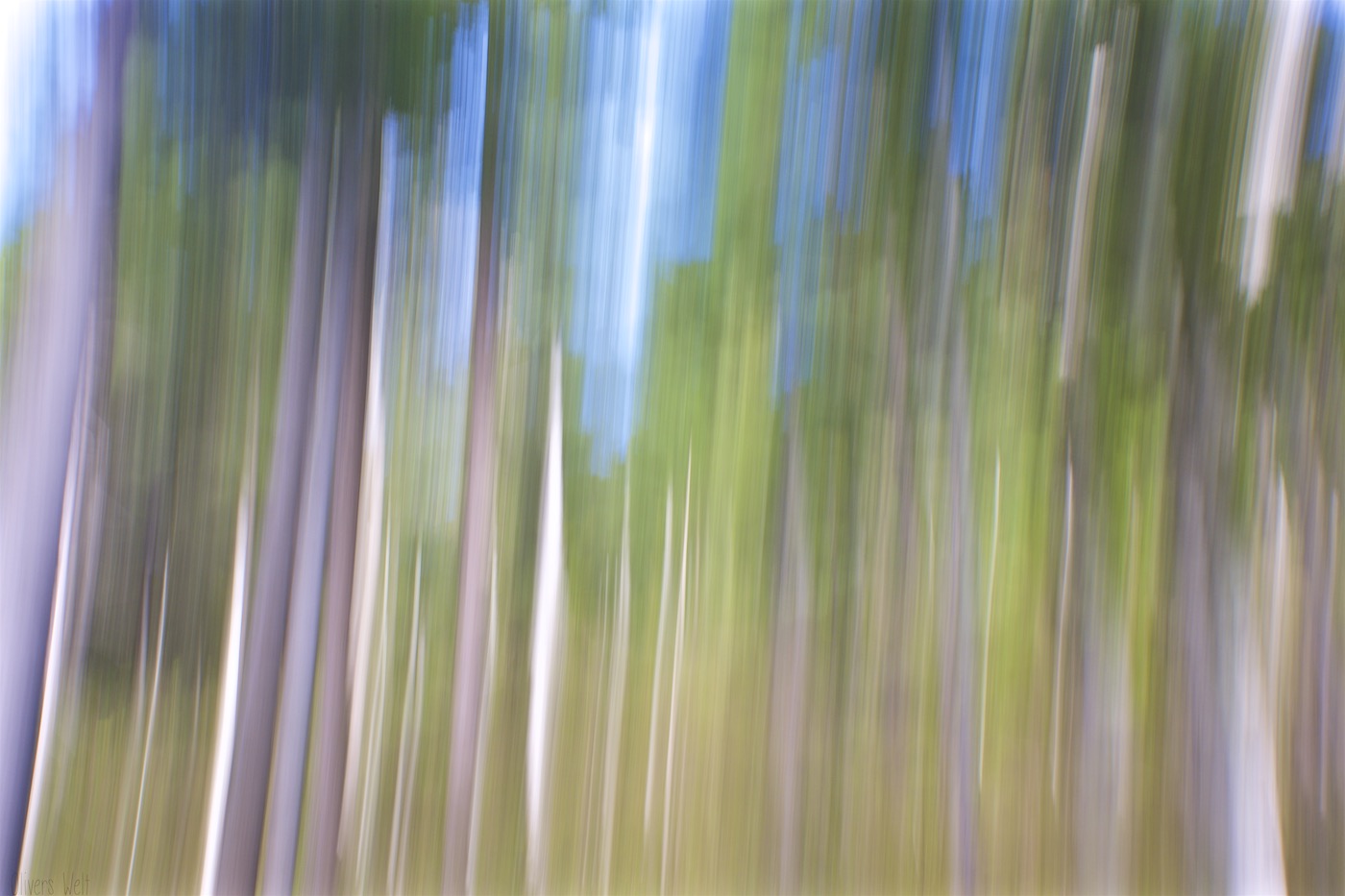 Bild ohne Beschreibung