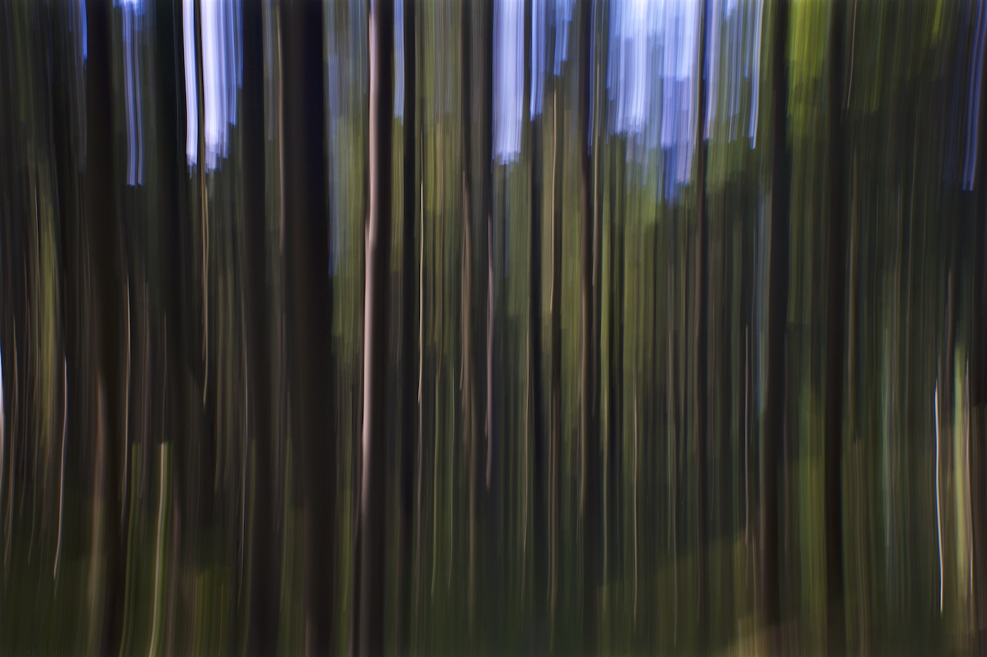 Bild ohne Beschreibung