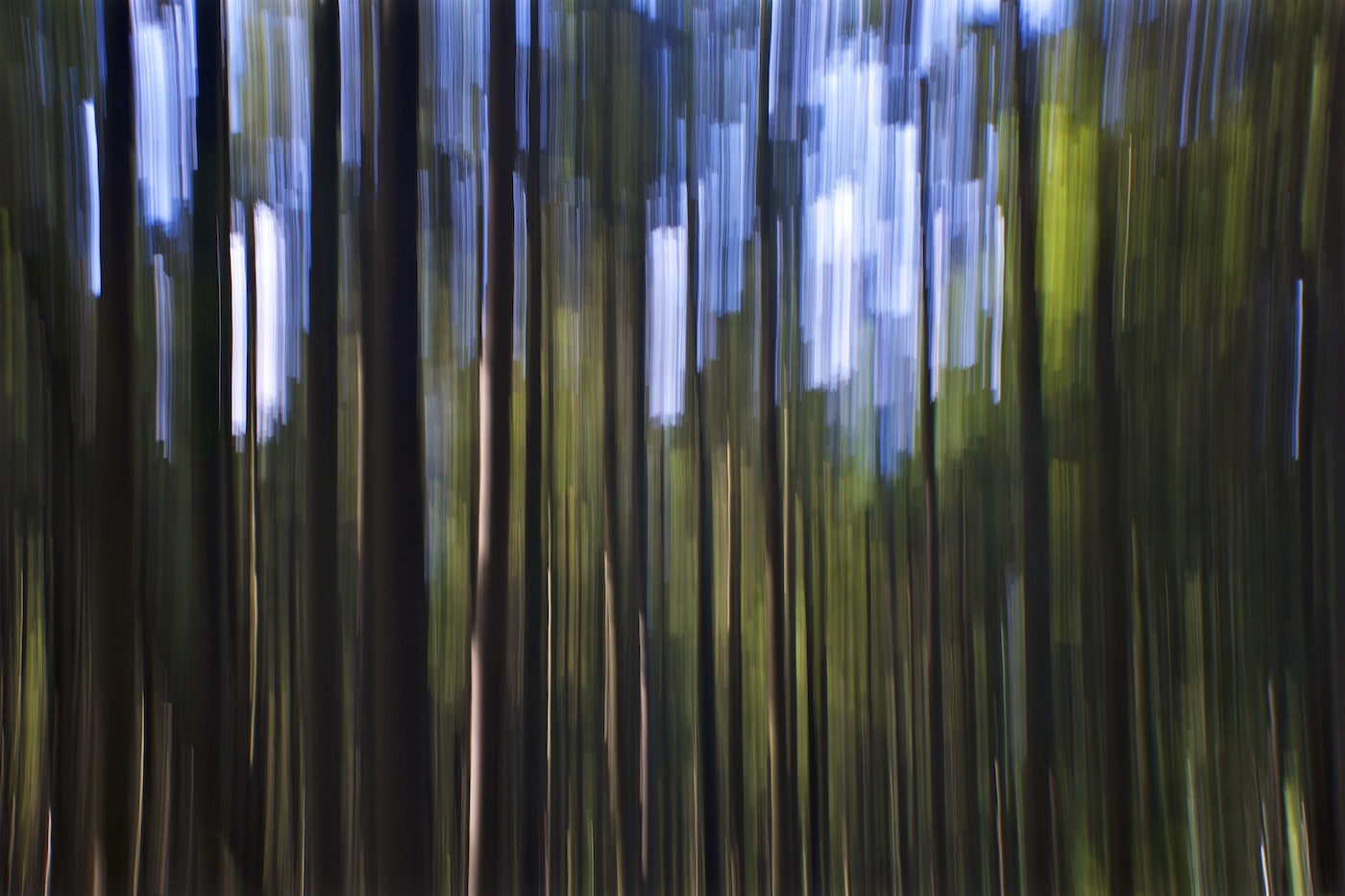 Bild ohne Beschreibung