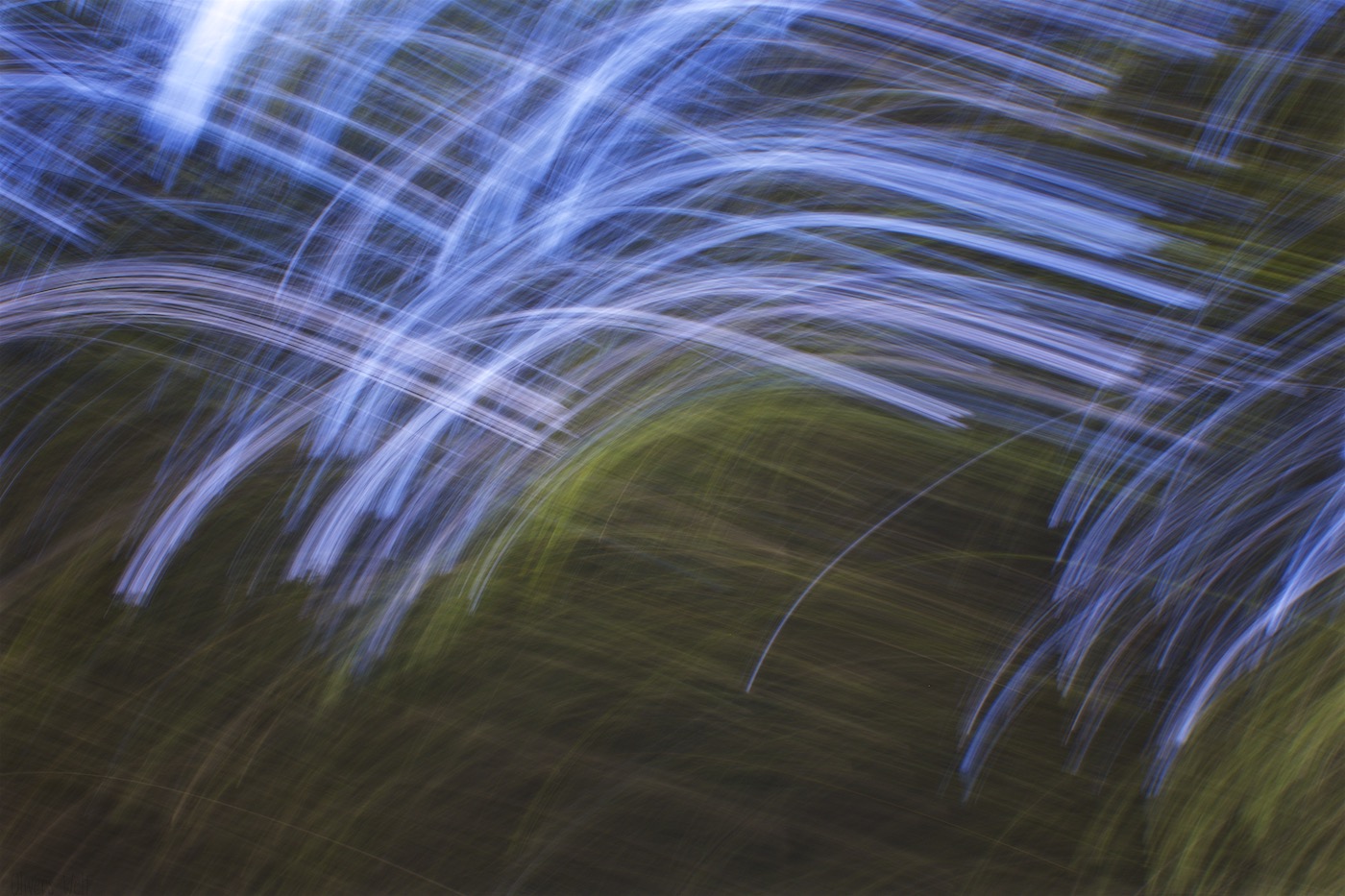 Bild ohne Beschreibung